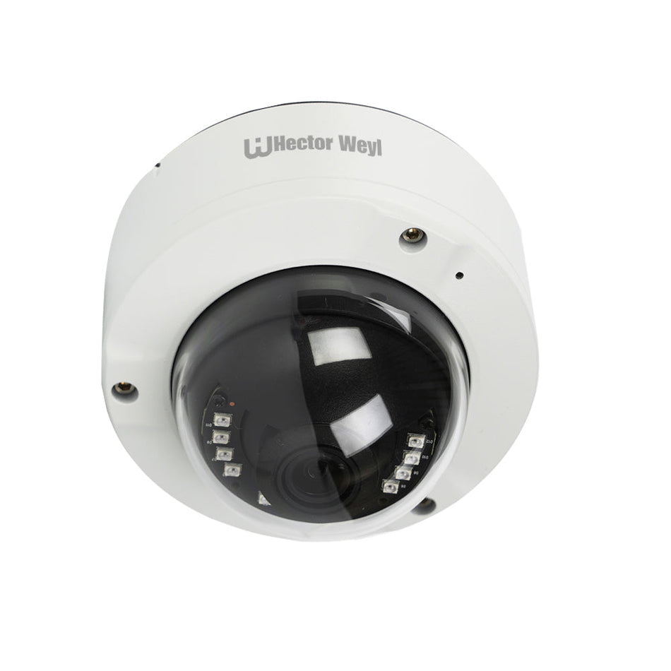 IPC-DF1441S-S2 4MP Dual Light Fixed-Focal Dome Network Camera